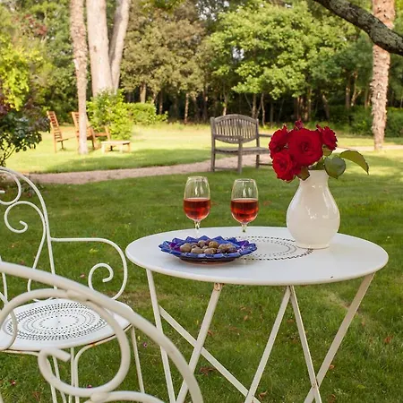 Domaine Saint Pierre De Trapel